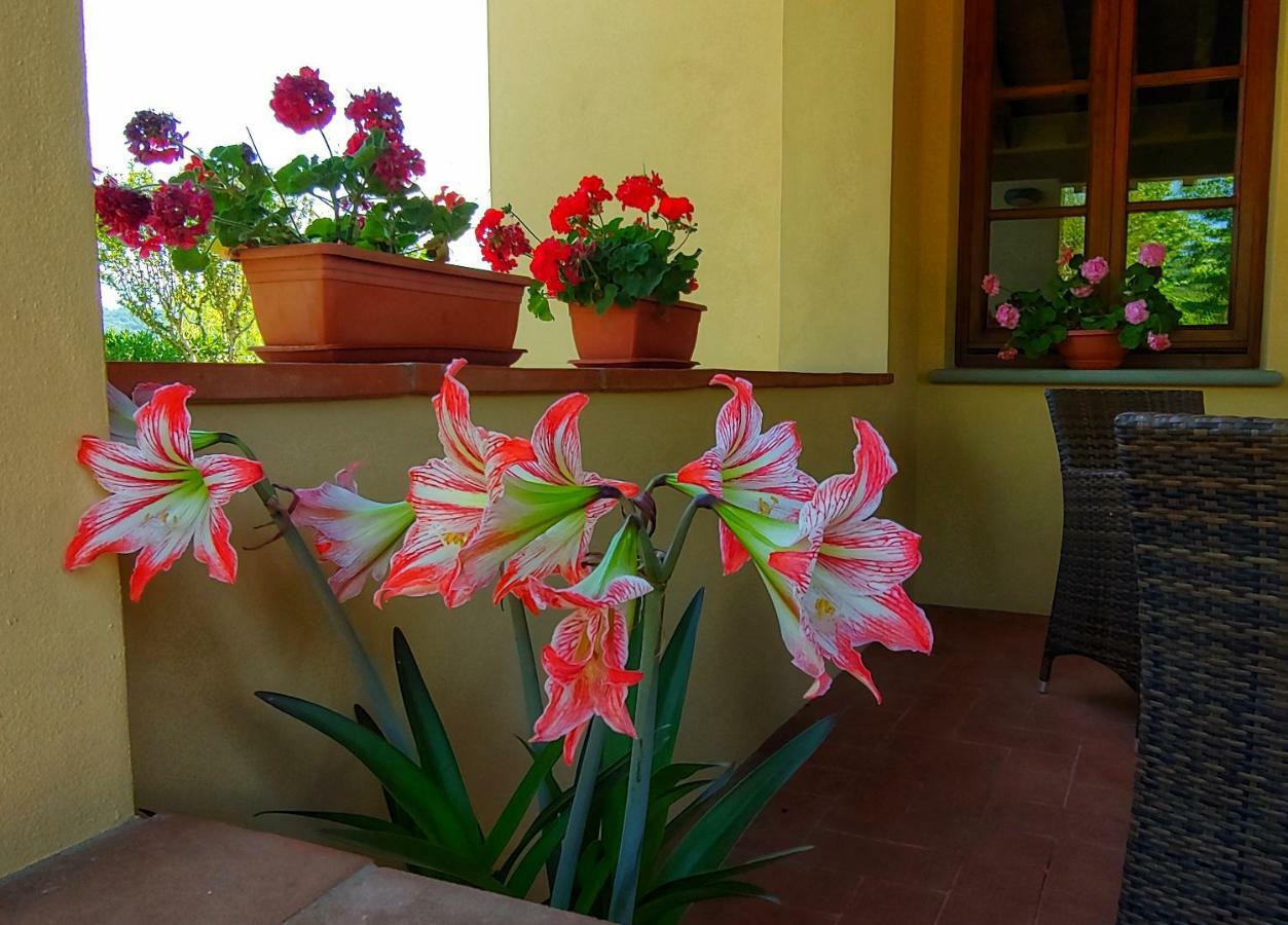 Torrebianca Tuscany Rignano sullʼArno エクステリア 写真